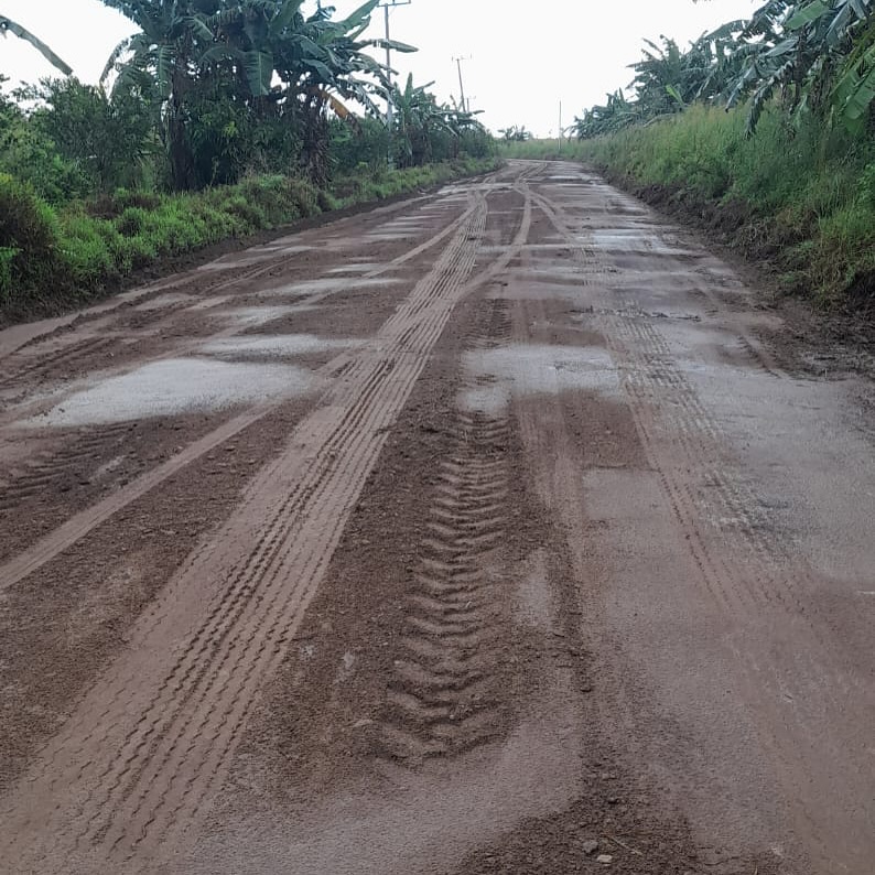 Pemkab Sukamara Percepat Perbaikan Jalan Lunci–Jelai, Wujud Nyata Komitmen Tingkatkan Konektivitas Antarwilayah