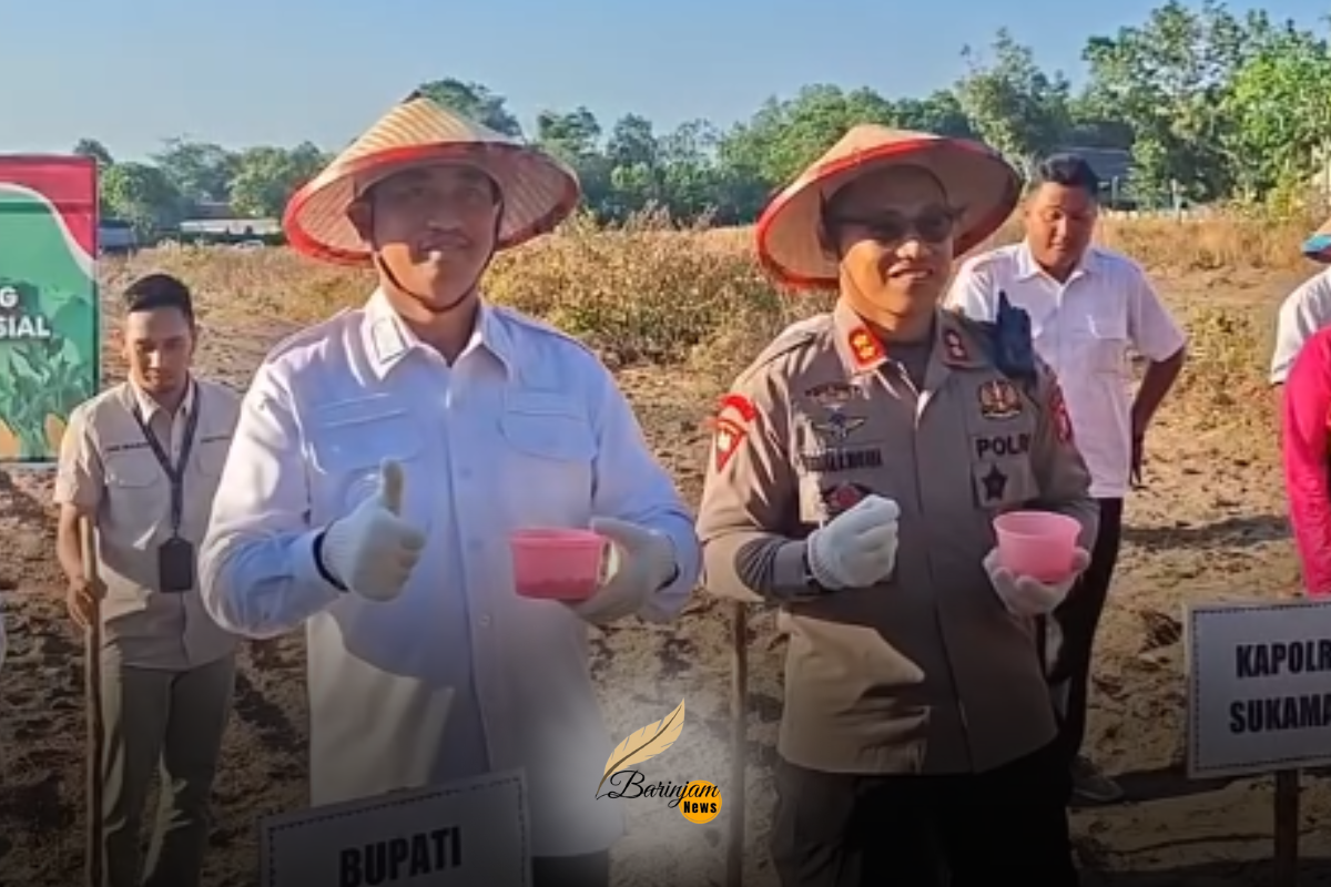 Bupati Sukamara Dorong Ketahanan Pangan Lewat Penanaman Jagung Serentak Kuartal III
