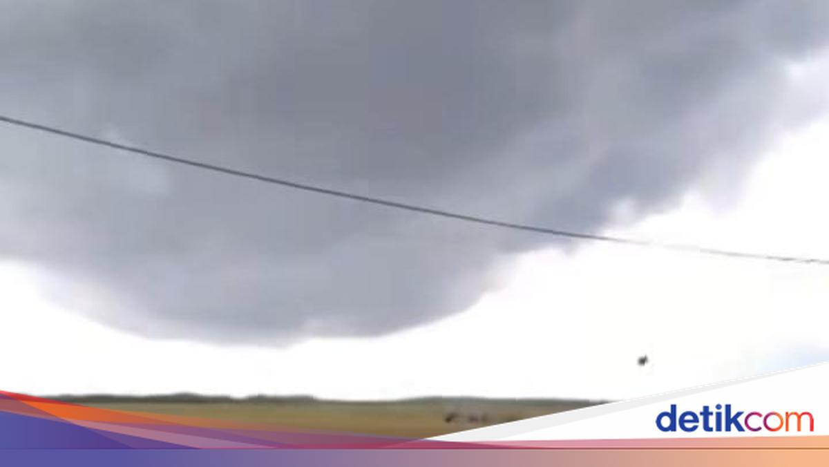 Heboh Sapi Terbang Diterpa Puting Beliung di Sukamara, BPBD Pastikan Hoaks – detikcom