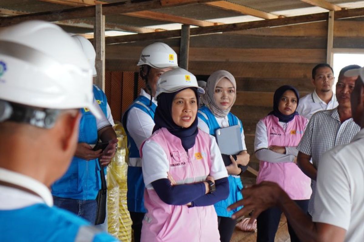 PLN Kalselteng luncurkan program INLEVIN dukung peternakan modern di Sukamara – ANTARA News